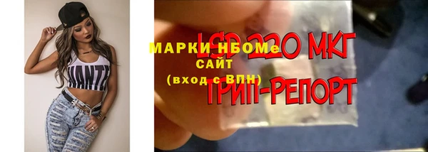 дурь Алексин