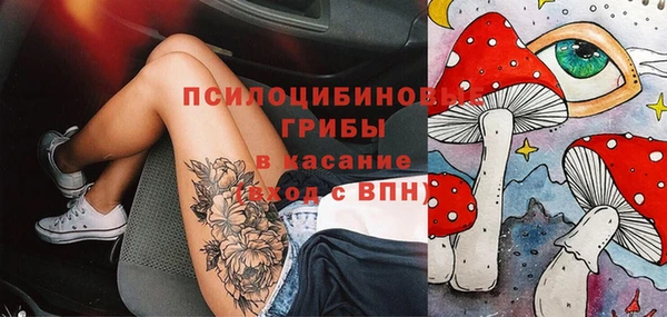 ешки Каменск-Шахтинский